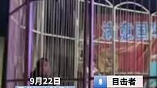 马戏团狮子发狂
扑倒撕咬工作人员