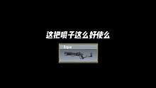 这把喷子这么好使么？#使命召唤手游 #CODM