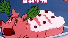 还没过中秋节，就要吃猪肉#每日一笑 #小猪#搞笑动画