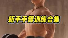 新手手臂训练合集#新手健身 #手臂训练 #自律