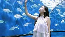 答应我，今年夏末一定要去一次海洋馆#海洋馆 #水族馆 #海洋馆打卡 #海洋馆拍照 #蓝色治愈系