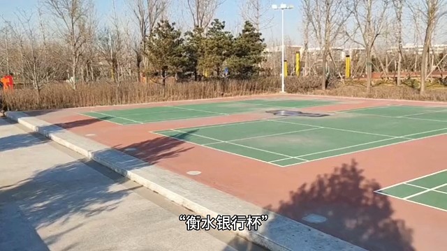 “衡水银行杯”2023衡水湖马拉松赛 暨全国马拉松锦标赛（第三站）成功举行