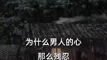 歌曲《受伤的总是女人》