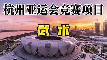 2023年杭州亚运会——武术项目
即将开始！#杭州亚运会 #有梦才有冠军 #武术散打 #为国争光 #