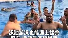 泳池游泳也能遇上猛兽 网友：运动量直接爆表#运动