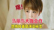 马丽与电影大咖合作，想要撕掉喜剧演员标签 