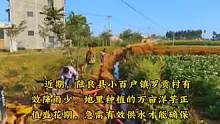 陆良这里为民抗旱保丰收@抖音小助手 @陆良房产 @大陆良好