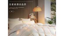 水星家纺羽绒被95白鹅绒夏冬被五星级酒店鹅毛被子被芯鹅绒被高档#好物推荐 #家纺床上用品 #羽绒被#