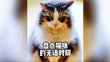 猫：世界和平的时候，人类就是我最大的敌人#猫咪无语 #猫咪的日常 #这个世界不能没有小猫 #铲屎官的