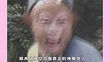 原来孙悟空才是真正的神爱世人#娱乐评论大赏 #西游记 #孙悟空 #男主天花板 #破防了 