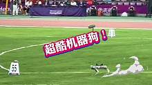 杭州亚运会黑科技!首次使用机器狗在铁饼赛场上运送铁饼