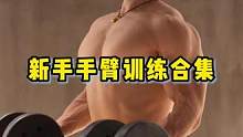 新手手臂训练合集#手臂训练 #健身教学 #健身干货 #力量训练