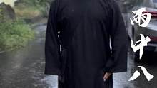雨中八极拳#八极拳 #开门八极拳 #武当功夫 #非物质文化遗产