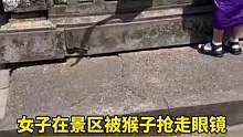 女子在景区被猴子抢到眼镜，用香蕉换才松手，最后还被工作人员教训了