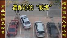 东北话搞笑配音，指挥新手司机倒车入库，真愁人 #搞笑配音 #驾驶技巧 #倒车入库
