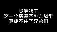 板子：觉醒狼王。这一个房间凑齐这么多大聪明，兄弟们我真绷不住了#狼人杀#神秘狗 #游戏