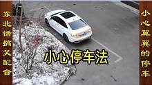 东北话搞笑配音，最小心翼翼的停车 #搞笑配音 #侧方位停车