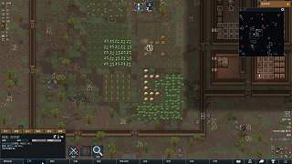 環(huán)世界Rimworld邊緣世界直播實(shí)錄-泡泡二世P2，擴(kuò)張招人很重要