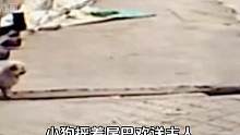 给他一辆车，就可以撬动修勾#搞笑配音 #人类迷惑行为 #看一遍笑一遍 #专治不开心