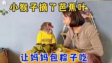 小猴子真懂事#