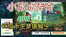 [小冰冰传奇]永生梦境65级猴子40W打法#小冰冰传奇怀旧服 #永生梦境 #小冰冰传奇