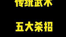 传统武术五大杀招用来防身非常不错哦#八极拳 #擒拿格斗 防身术#防身术
