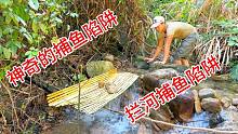 进入丛林躲避丧尸的第六天，今天制作神奇的拦河捕鱼陷阱大丰收了