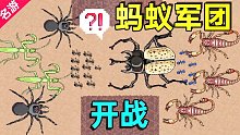 【名游社】大蚂蚁王国再次崛起，最后1秒打败敌人