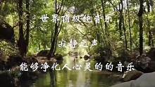 世界顶级纯音乐《寂静之声》#纯音乐 #音乐分享 #用音乐治愈心灵  #好听的音乐总是触动人的心灵 #