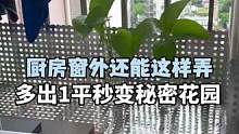 #旧房改造 #大平层 #装修 厨房窗外这样设计多出1平空间.还能种菜养花儿#旧房翻新 #全屋定制