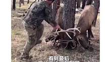 #极度舒适 #一定要看到最后