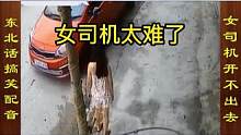 东北话搞笑配音，女司机被一颗小树拦住去路 #搞笑配音 #女司机