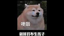 光我刷到没用啊，能不能推给我妈#结婚 #生孩子 #职场