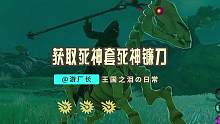 【塞尔达传说：王国之泪】暗黑套、黑暗套和死神镰刀获取攻略！ #塞尔达传说 #塞尔达传说王国之泪 #任