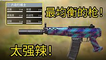 使命召唤手游最平衡的步枪！！
