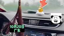 10月20日，广东，车开着开着雨刮器掉了，车主急中生智用拖鞋代替 #安全出行 #神操作#万万没想到#