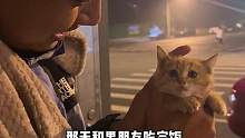 愿天下的毛孩子都能被温柔以待#侯多余 #流浪猫 #每个生命都应该被尊重