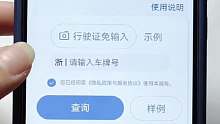 车辆信息 可以怎么查？#车辆状态 是否正常，以及是否被查封、抵押、违法、盗抢等异常状态。#二手车