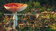 结核分枝杆菌生物学（6）