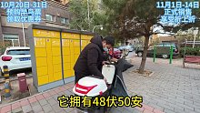 怎么选择换电品牌