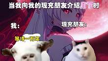 当我向我的现充朋友介绍月下#崩坏3 #现在是崩坏3时间 #崩不住辣 （玩家创作）
