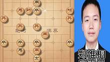 象棋竞赛深受欢迎喜爱的司令胡荣华和姜太公许银川相继先后退役。棋坛同时出现风格迥异，成就不同的两个新王