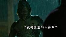 “爱意东升西落，浪漫至死不渝”