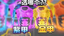 高能英雄：紫甲金甲哪个好？（对不起我把视频搞丢了重新补发一下QAQ）
