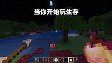 我的世界：当你开始玩生存 #我的世界