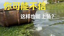 说出来你可能不信，这样也能上大鱼？