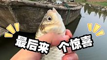 野钓大板鲫，最后来了个惊喜！