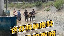 这双鳄鱼皮鞋根本不怕雨#鳄鱼 #鳄珍 #鳄鱼养殖场