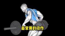 健身的七大黄金动作，你都忽略了哪些？#健身 #肌肉 #健身教学 #运动