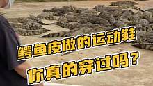 鳄鱼皮做的运动鞋你真的穿过吗？#鳄鱼 #鳄珍 #鳄鱼养殖场